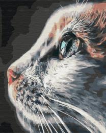 Картина за номерами Brushme BS51792