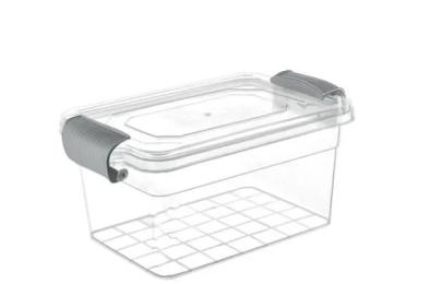 Харчовий контейнер Violet House 0463 Family Box, 2 л Transparent (6768550)