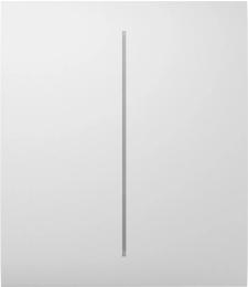 Клавіша для вимикача Ajax CenterButton 2-gang for LightSwitch Jeweler White