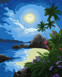 Картина за номерами Ідейка KHO2730 Місячна ніч 40х50 см