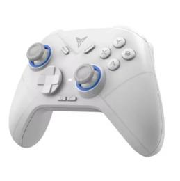 Геймпад FLYDIGI Direwolf 3 White