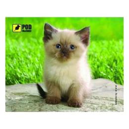 Килимок для мишки Pod Mishkou Сіамський котик Panda Bicycle