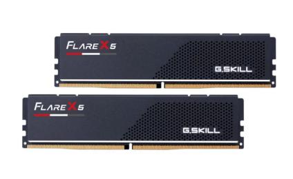 Оперативна память G.Skill 64 GB (2x32GB) DDR5 5600 MHz Flare X5 (F5-5600J3636D32GX2-FX5)