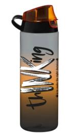 Пляшка для води HEREVIN Thinking dark 0.75 л (161506-094)