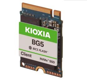 Жорсткий диск внутрішній SSD Kioxia BG5 256GB (KBG50ZNS256G)