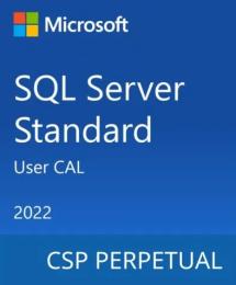 Програмне забезпечення Microsoft SQL Server 2022 (DG7GMGF0MF3T-0002) 1 User CAL