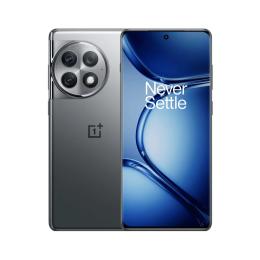 Смартфон OnePlus Ace 2 Pro 12/256GB Titanium Gray CN