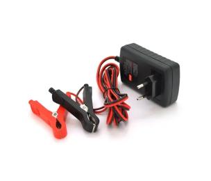 Зарядний пристрій для акумулятора автомобіля Voltronic RJTianye RJ-C120201A