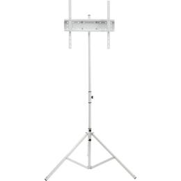 Презентаційна стійка для телевізора Sector T12 White