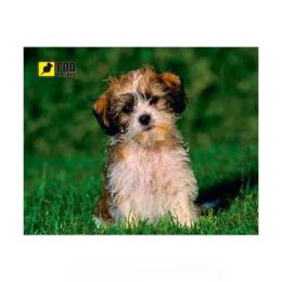 Килимок для мишки Pod Mishkou Кошлате щеня Dark Gray