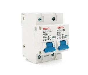 Автоматичний вимикач Voltronic YT-DZ47-63-2P-100A