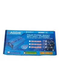 Зарядний пристрій для акумулятора автомобіля Voltronic RG-CA1230A