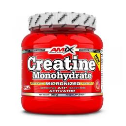Креатин AMIX Creatine Monohydrate (300 g) (04868-01)