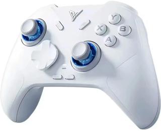 Геймпад FLYDIGI Direwolf 4 White + чохол