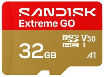 Карта памяті SanDisk Extreme GO SDHC 32GB UHS-I V30 A2 (SDSQXGN-032G-GN6MN)