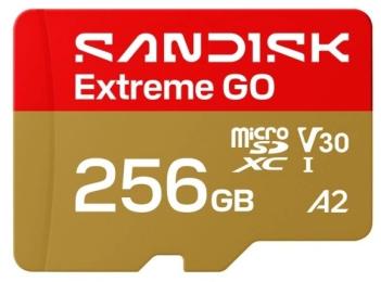 Карта памяті SanDisk Extreme GO SDXC 256GB UHS-I V30 A2 (SDSQXGN-256G-GN6MN)
