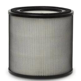 Фільтр для очищувача повітря Electrolux EFFBTH2 (900923650)