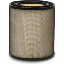 Фільтр для очищувача повітря Electrolux EFFBTH4 (900923830)