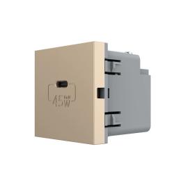 Розетка LIVOLO VL-FCUC-2AP Gold