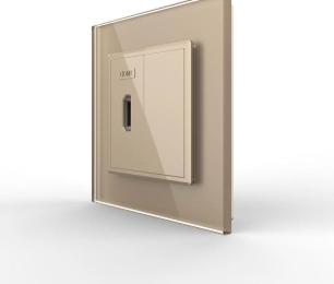 Розетка LIVOLO VL-C7FCHD/FCMB-2AP Gold