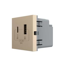 Розетка LIVOLO VL-FCUA18W.UC18W-2APS24 Gold