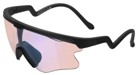 Спортивні окуляри Albaoptics DELTA LEI Black VZUM F-Lens Flamingo фотохромні (GLA-33-69)
