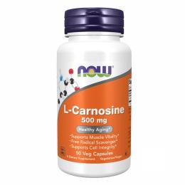 Вітаміни та мінерали Now Foods Carnosine 500mg - 50 vcaps (2022-10-1444)