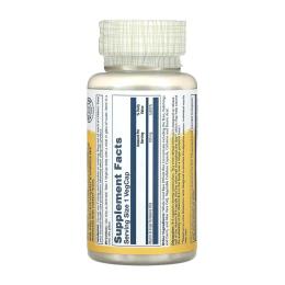 Вітаміни та мінерали Solaray Vitamin B-6 Timed-Release 100mg - 60 vcaps (2023-10-6423)