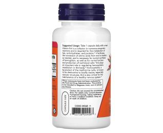 Вітаміни та мінерали Now B-6 100 mg (100 caps) (06666-01)
