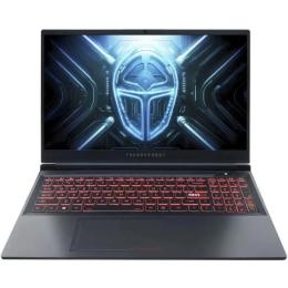 Ноутбук Thunderobot R16 (1NLYB000014) Gray