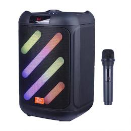 Акустика портативна Sing-E ZQS8162 30W Black (2710000361190)