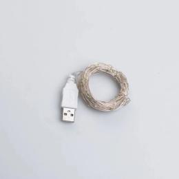 Гірлянда GarlandoPro 100 LED 10 м USB White Роса (USB100L10MWW)