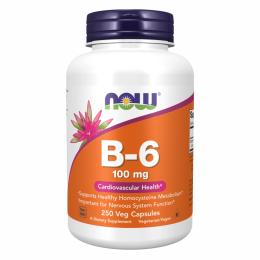 Вітамінно-мінеральний комплекс Now Foods B-6 100mg - 250 vcaps (2022-10-1428)