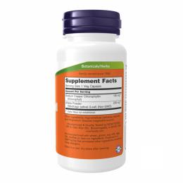 Натуральні добавки і екстракти Now Foods Chlorophyll 100 mg - 90 vcaps (2022-10-0080)
