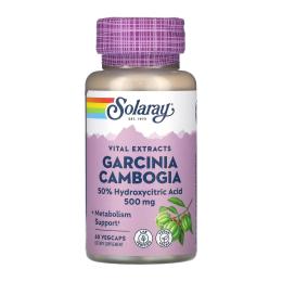 Натуральні добавки і екстракти Solaray Garcinia Cambogia Fruit Ext 500mg - 60 veg caps (2023-10-3433)