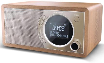Радіоприймач Sharp DR-450 Bronze (DR-450(BR))