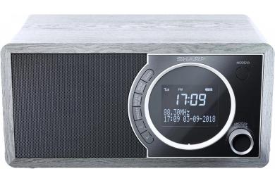 Радіоприймач Sharp DR-450 Gray (DR-450(GR))