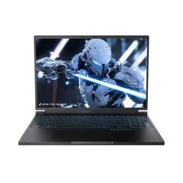 Ноутбук Thunderobot RS16 (RS16-i9139HX57E1Q240ARBDMX) Black
