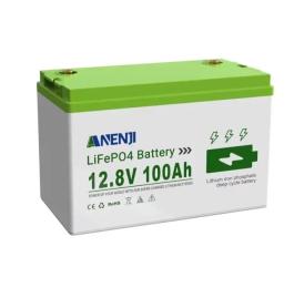 Акумулятор для ДБЖ Anenji LiFePo4 12V 100Ah (ANJ-12V-100AH-S)