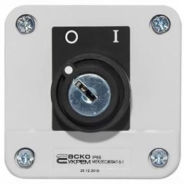 Пост керування XAL-B142Н29 1NO 2-позиційний ключ АскоУкрем