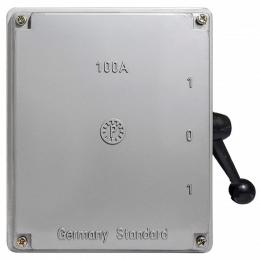 Роз'єднувач QS5-100N 100А (1-0-1) реверс АскоУкрем A0100010011