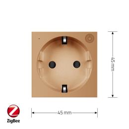 Розумний механізм розетка EC з заземленням Livolo золото (VL-FCTC16AZ2-2AP)