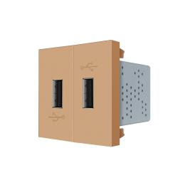 Механізм подвійна розетка USB з блоком живлення Livolo золото (VL-FCUA-2AP)