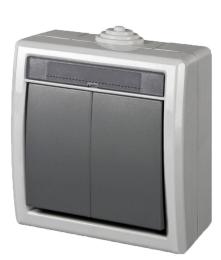 Вимикач накладний 2-кл. сірий Electro-Plast Aquant IP55