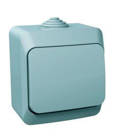 вимикач 1-клавішний сірий Cedar Plus