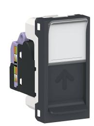 Одинарна комп'ютерна розетка Schneider Electric NU341454 RJ45 cat.6 UTP з полем для напису 1М (антрацит)