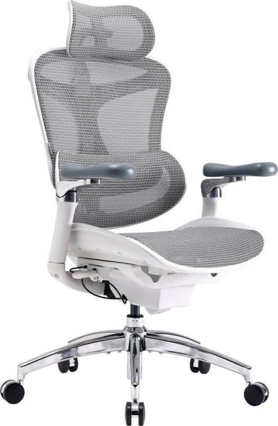 Ігрове крісло Sihoo DORO C300 Pro Mesh White (DORO-C300-PRO-M102)